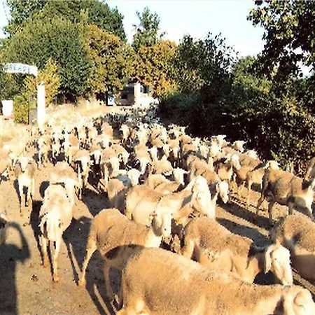Chambres A La Ferme Millau